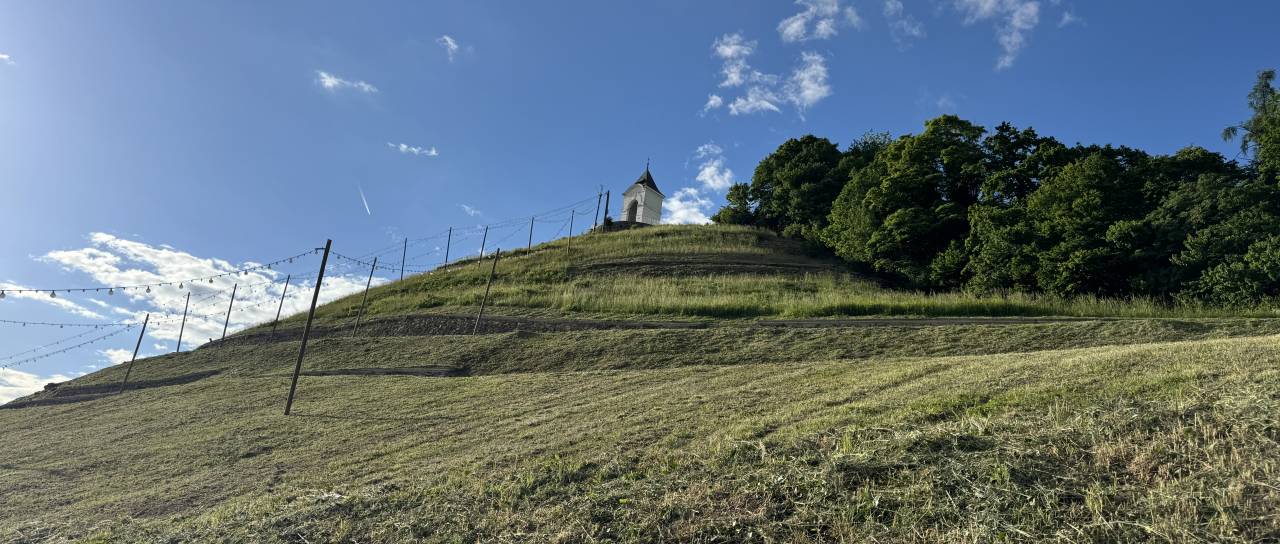 Na mariborski Piramidi se jeseni začenja zasaditev vinograda, vrača se tudi sorta z zgodovino 
