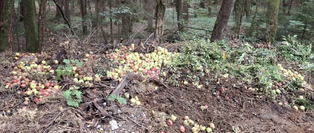 Škofja Loka opozarja: Zeleni odrez ob Sori lahko povzroči težave ob visokih vodah