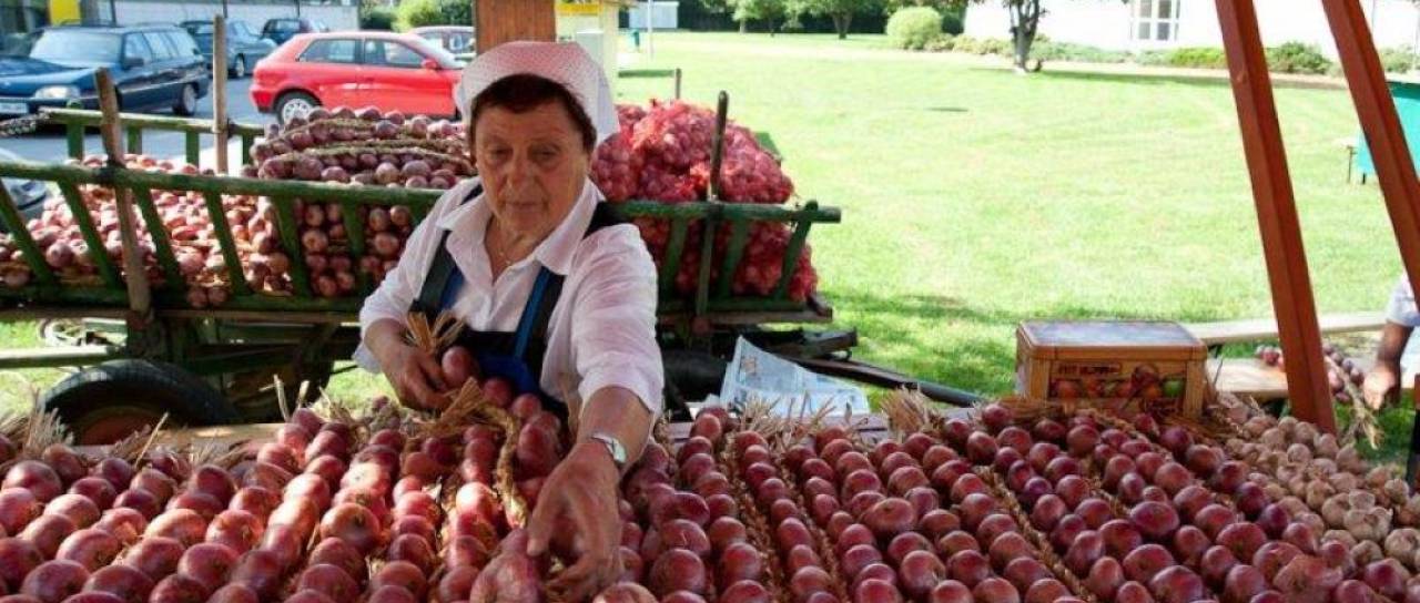 Toča oklestila pridelek dornavskega lüka, težave tudi pri pletenju tradicionalnih krencev