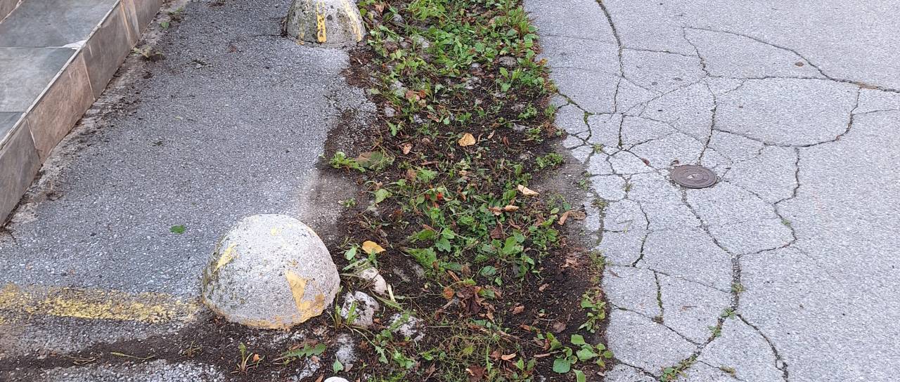 FOTO: Ljubljančani opozarjajo na težavo v Krakovem: »Nujno je treba obnoviti in očistiti muldo«