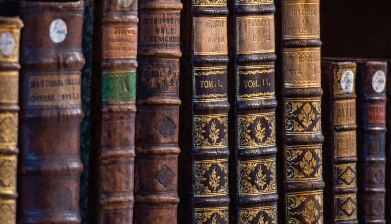 slika prikazuje stare knjige na eni polici