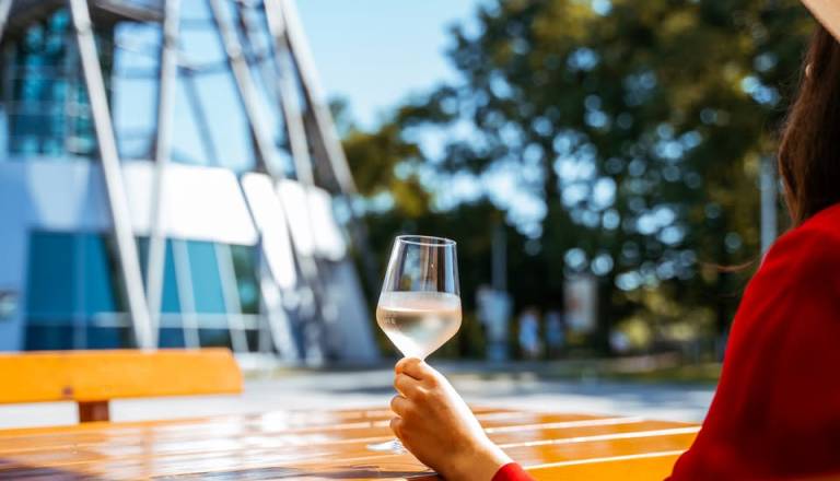 Martinovanje v Lendavi