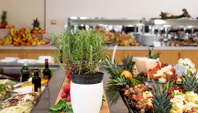 Brunch Kulinarični most med jesenjo in zimo