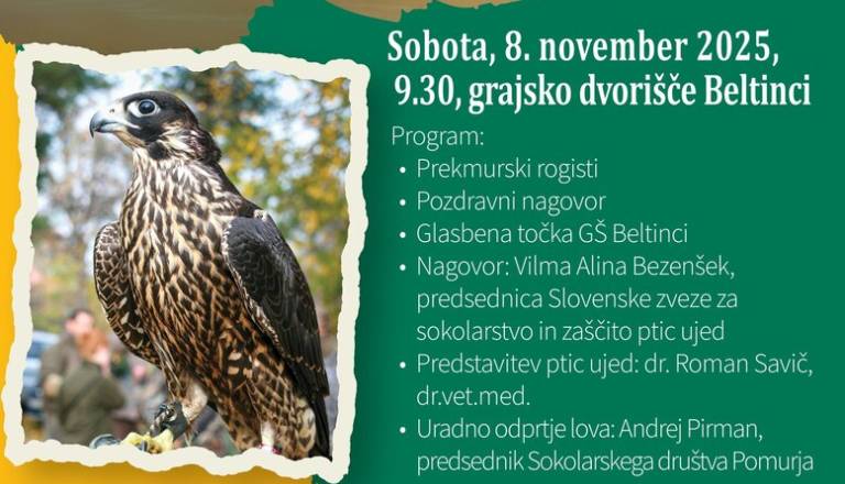 SVEČANO ODPRTJE LOVA S SOKOLI V POMURJU