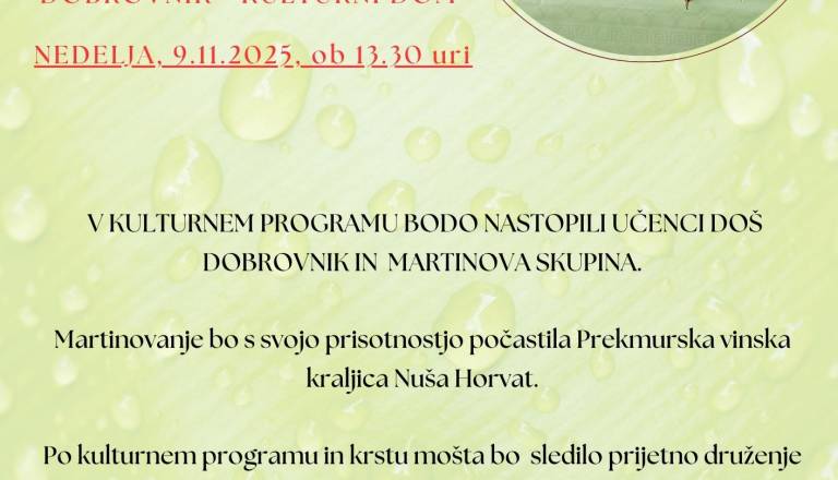 MARTINOVANJE V DOBROVNIKU