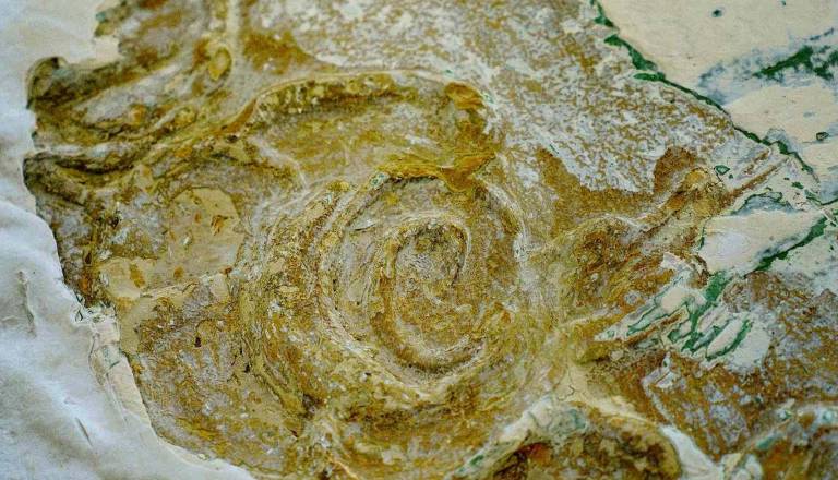 BoNBoNJERA, Otvoritev prenovljene E2RD Galerije