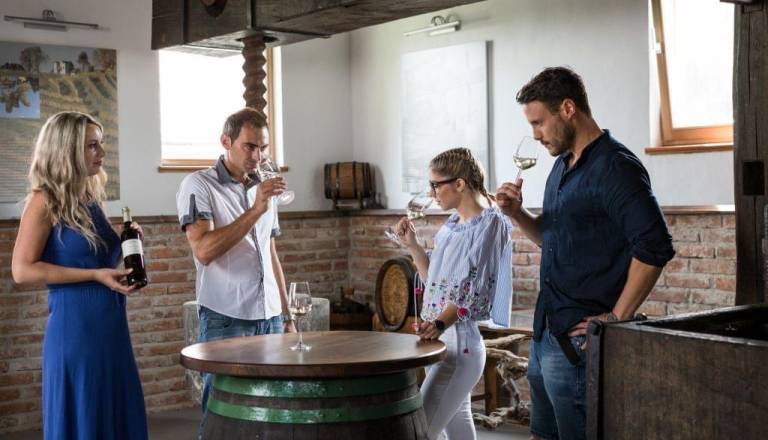 DEGUSTACIJA LETOŠNJIH VIN V STARI PREŠI