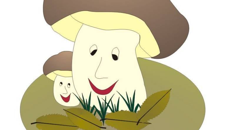 Dobrodelna prireditev