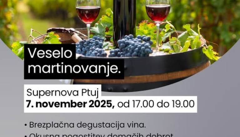 Martinovanje v Supernovi Ptuj