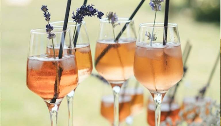 Baronov poletni večer na EKO idili na Pohorju