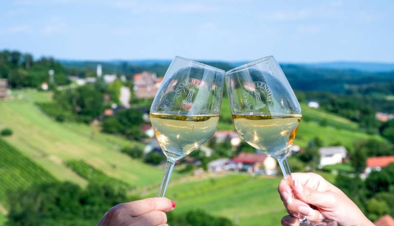 Festival Vinarium: Vina pod krošnjami