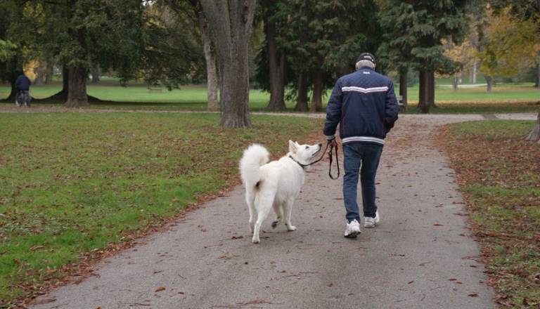 Spite z ljubljenčkom? Infektologinja opozarja: Bolezni se lahko prenašajo v obe smeri