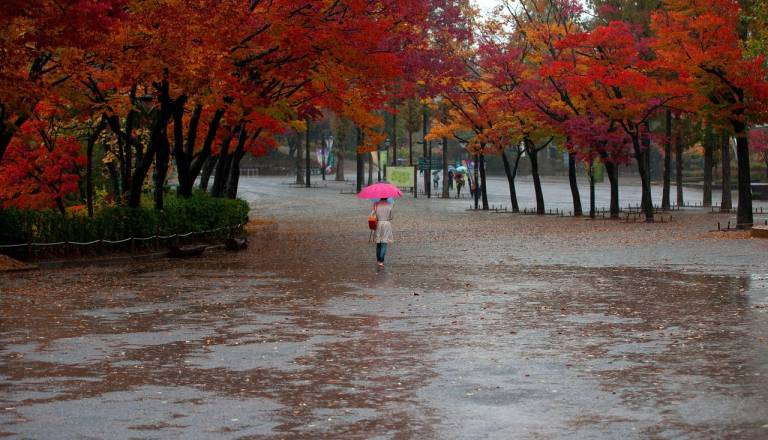V četrtek vremenski preobrat z obilnimi padavinami, Arso svari: Odmašite odtoke
