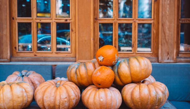 Kam ta konec tedna? Dolenjska bo v znamenju gob, buč in glasbe