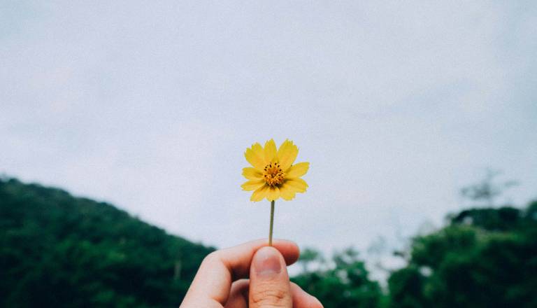 Velike spremembe na nebu! Preverite, katera znamenja Sonce zdaj najbolj podpira