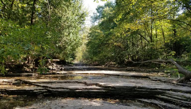 Po neurju na Štajerskem podrta drevesa, poplavljeni podvozi in oviran promet