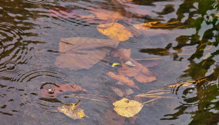 Petek bodo zaznamovale plohe in nevihte, kakšno bo vreme ob začetku jesenskih počitnic? 