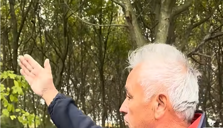 Spor zaradi meje: En porezal orehe, drugi z motorno žago prerezal 53 trt