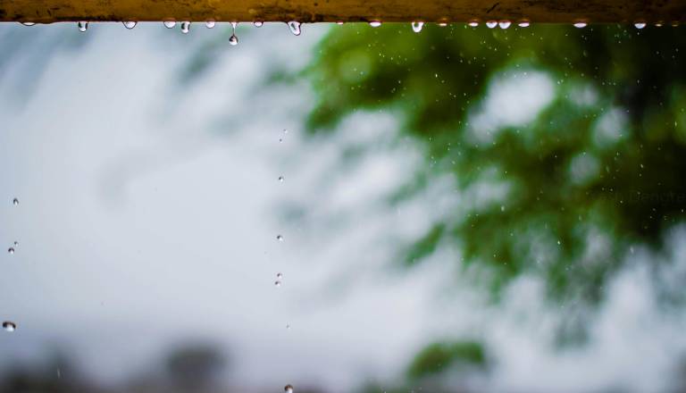 Sobota z meglo in soncem, v nedeljo nekaj ploh
