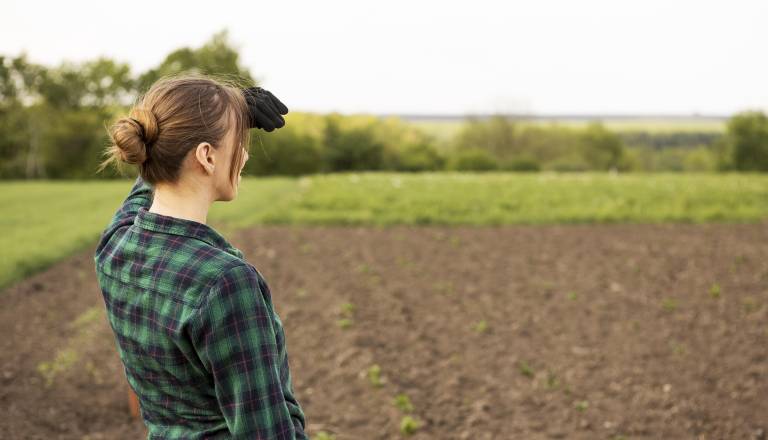 Vrtnarjenje jeseni: Toliko vrtin morate pustiti praznih, ne pretiravajte z ...