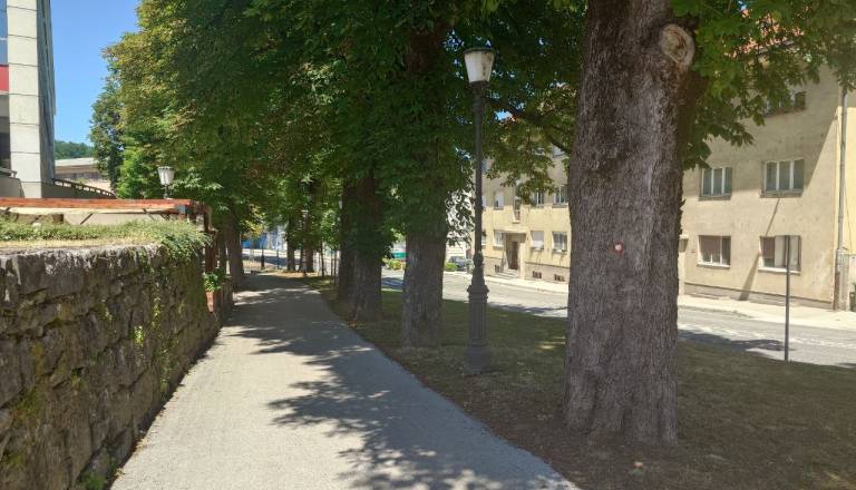 Novo mesto pretreseno: Po smrti napadanega Novomeščana Golob sklical krizni sestanek