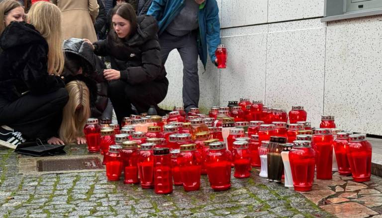 Primer Strojanovi in kako je država takrat reševala romsko problematiko
