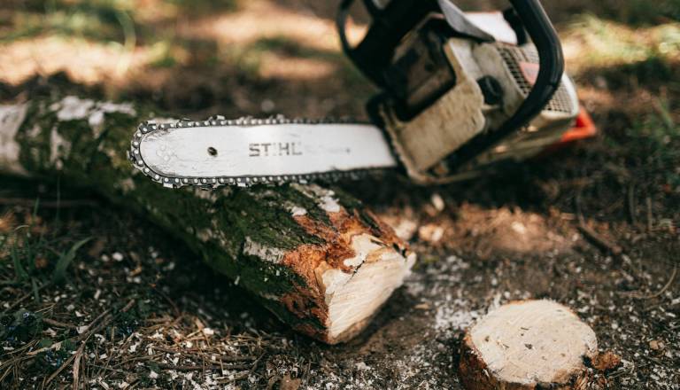 Med podiranjem smreke umrl 44-letnik