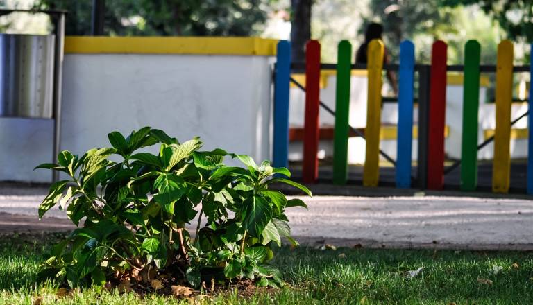 Zagovornik načela enakosti opozarja: »Romski starši vrtcem kot institucijam v veliki meri ne zaupajo«