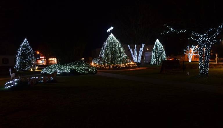 Občina išče smreko za praznično okrasitev parka