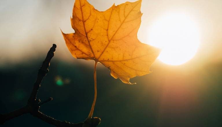 Kakšno vreme se nam obeta? Temperature za praznike vas bodo presenetile