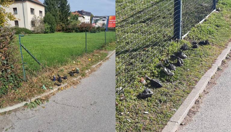 Bralka ogorčena zaradi odlaganja pasjih iztrebkov v vrečkah v Murski Soboti: »Če bi videla, kdo je ...«