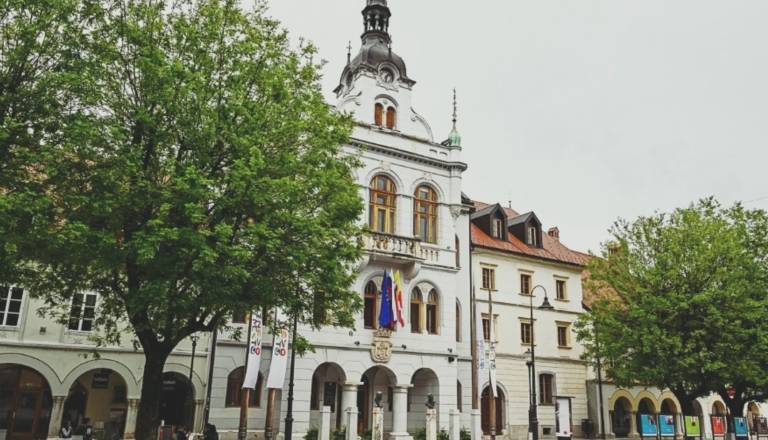 V Novem mestu izredna seja občinskega sveta o varnostnih razmerah v regiji, pred rotovžem protestni shod