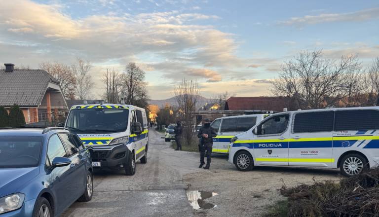 FOTO: Hišna preiskava v Novem mestu, zasegli orožje in pirotehniko