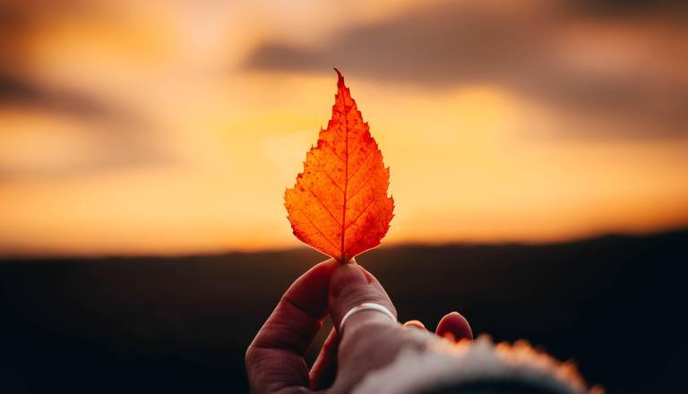 Zima? Še daleč od tega! Temperature za praznike vas bodo presenetile