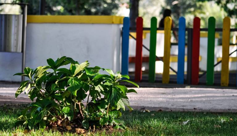 Učiteljica iz Novega mesta opozorila na razmere v romskih naseljih