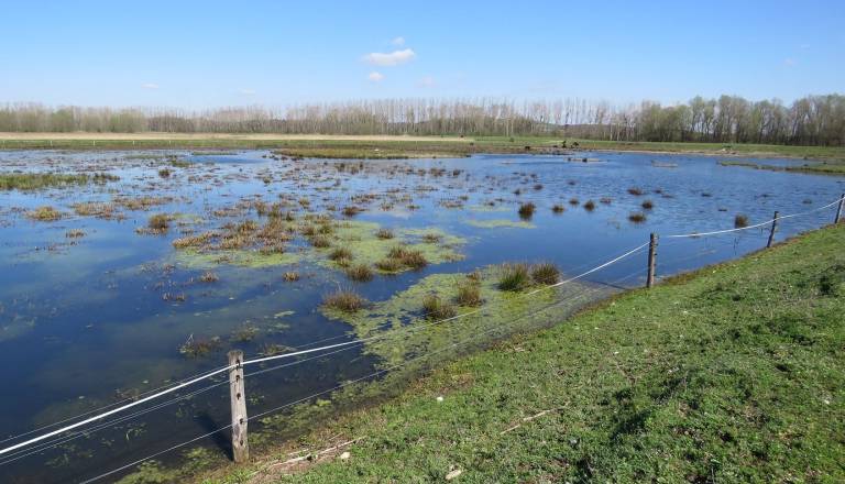 Naravni rezervat Ormoške lagune se zapira