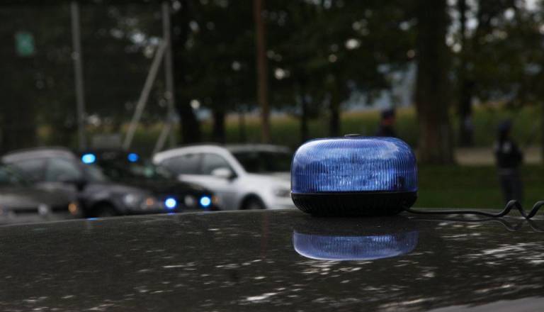 VIDEO: Streljanje v tem romskem naselju na Dolenjskem. Kako je posredovala policija?