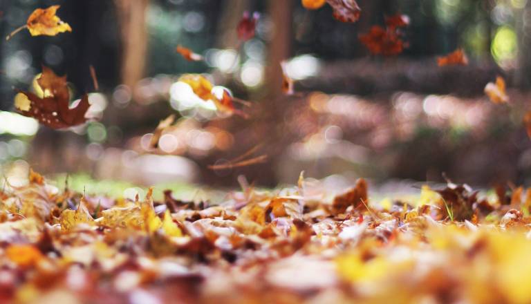 Pozor! Novembra vremenski preobrat, možne tudi poplave