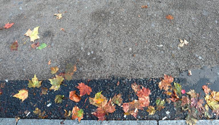 V Savskem naselju si želijo pogostejšega čiščenja javnih površin, župan jim je predlagal organizacijo čistilne akcije