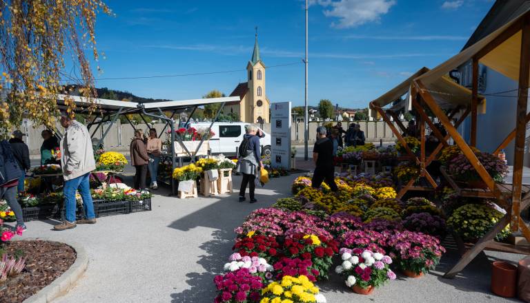 ANKETA: Koliko ste pripravljeni odšteti za nagrobno cvetje?