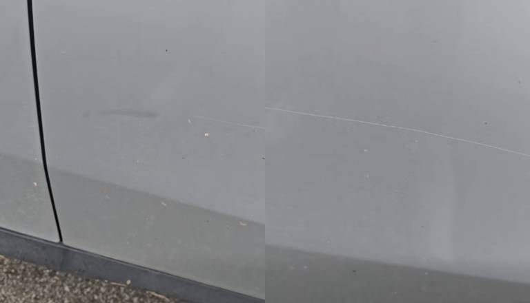 Silvo Mesojedec objavil, kaj ga je pričakalo po govoru na izredni seji 