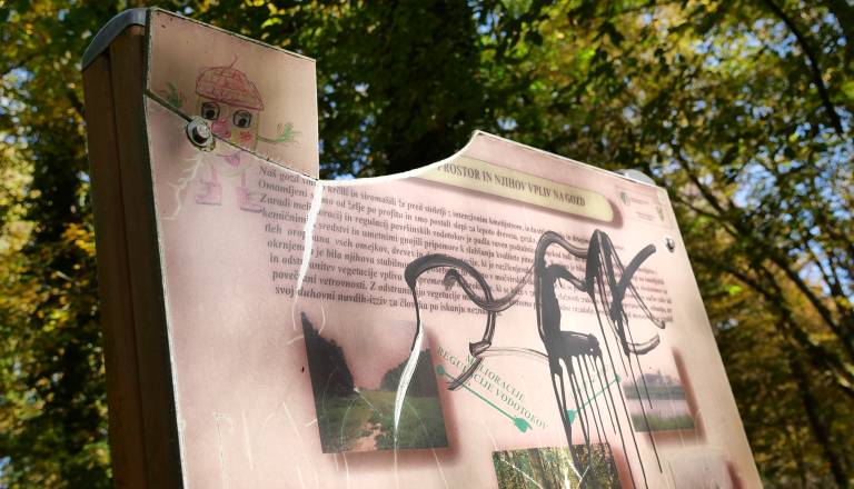 ... FOTO in VIDEO:  fazenerija 