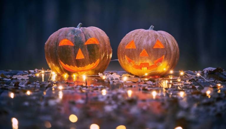 Kam ta konec tedna? Maribor v znamenju noči čarovnic in eksotičnih živali