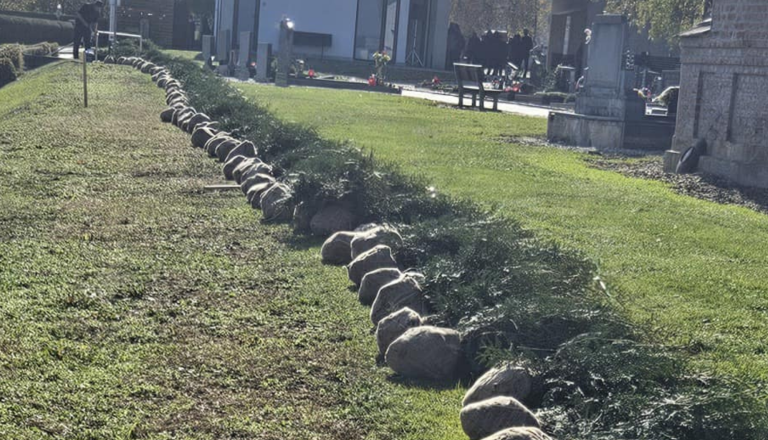 Na pokopališču zasadili nove ciprese in uredili parkirišče