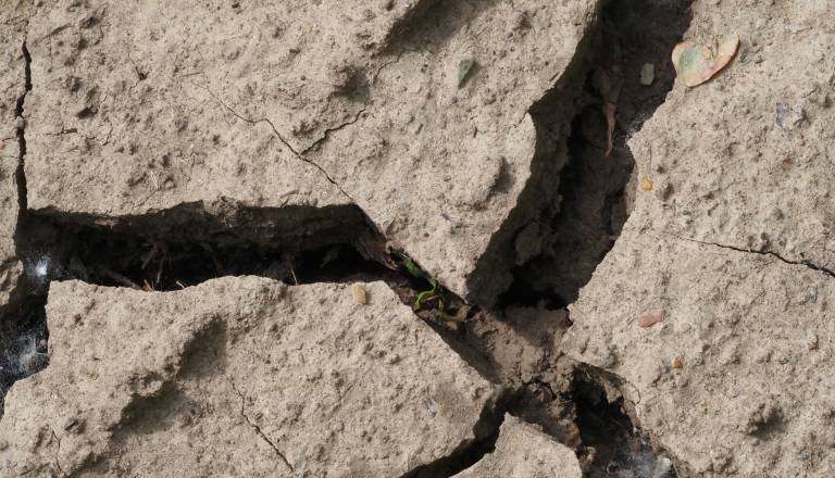 V Sloveniji so se stresla tla