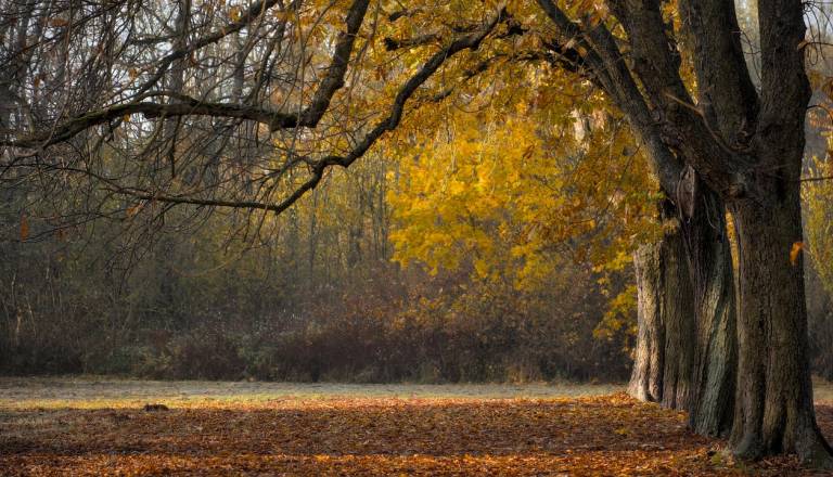 Konec tedna prinaša preobrat: po sončnih dneh prihajajo oblaki, veter in dež