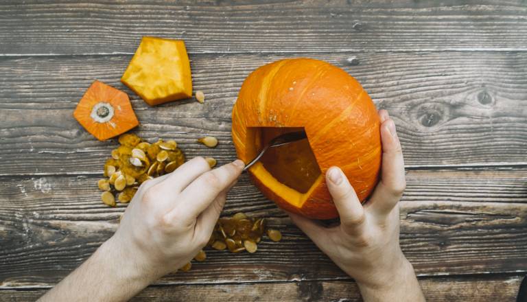 Pijane buče in buče z aparatom prevzemajo dvorišča