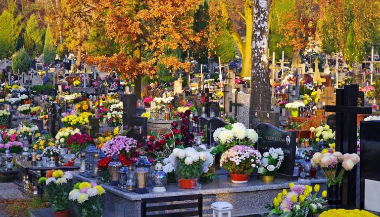 Manj plastike, več spoštovanja: Slovenci spreminjamo navade ob prvem novembru