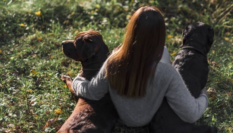 Spite s svojim hišnim ljubljenčkom? Strokovnjaki opozarjajo na skrite zdravstvene tveganje