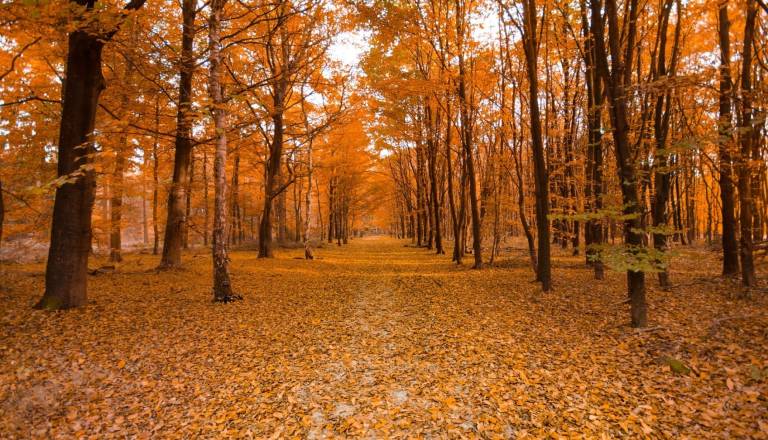 Čaka nas še en topel dan, v noči na ponedeljek napovedane nevihte